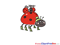 Kids Ladybugs Clipart free Illustrations