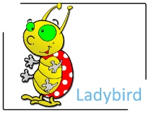 Ladybird Clipart Image free - Insects Clipart Images free
