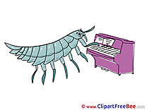 Bug plays Piano free Cliparts Kindergarten
