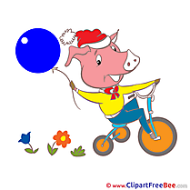Pig on Bicycle Pics Kindergarten Illustration