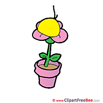 Flower in Pot Clipart free Illustrations