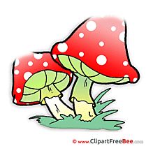 Amanita Mushrooms Pics printable Cliparts