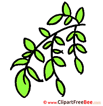 Branch Leaves Cliparts printable for free