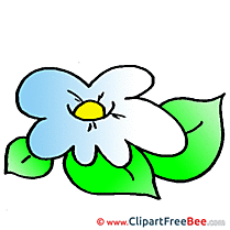 Flower download Clip Art for free