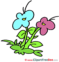 Flowers free Illustration download