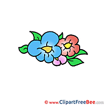 Image Flowers Pics free download Image