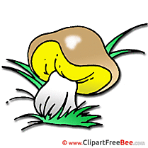 Mushroom Clip Art download for free