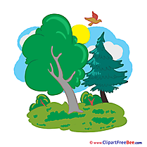 Nature Trees Clipart free Illustrations