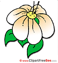 Petals Flower printable Images for download
