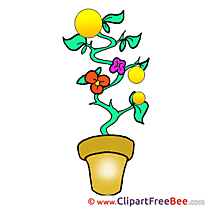 Pot Flower free Cliparts for download