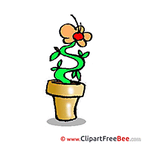 Pot Flower Images download free Cliparts