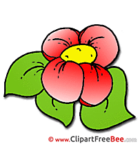 Red Flower free Cliparts for download