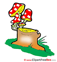 Stump Mushrooms Clipart free Image download