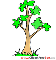 Tree Clip Art download for free