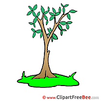 Tree download printable Illustrations