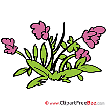 Wild Flowers download printable Illustrations