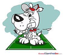 Dog Clip Art download Football