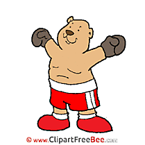 Boxer Sport Illustrations for free