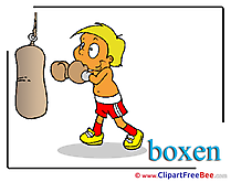 Gym Boxer free Illustration Sport