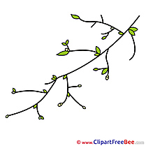 Buds Branch Spring free Cliparts for download
