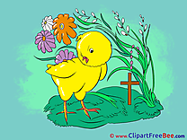 Chicken Grass Flowers Pics download Illustration