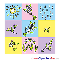 Image Flowers Sun Rain Images download free Cliparts