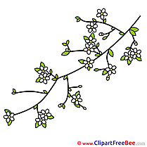 Spring Branch Clipart free Illustrations