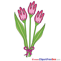Tulips Pics download Illustration