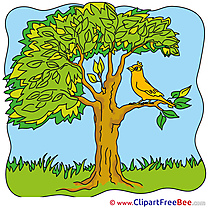 Bird Tree Pics Summer free Cliparts