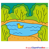 Pond Duck Pics Summer free Cliparts