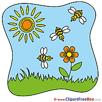 Sun Bees download Clipart Summer Cliparts