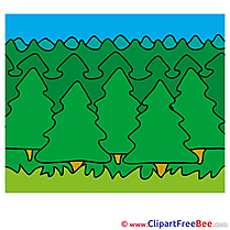 Woods Summer Clip Art for free