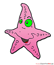 Starfish Clipart free Illustrations