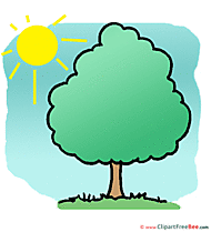 Tree Sun Clipart free Illustrations