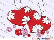 Chamomiles Hearts Pics Valentine's Day Illustration