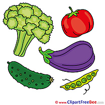 Broccoli Vagatables free Illustration download