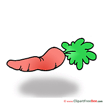 Carrot printable Images for download