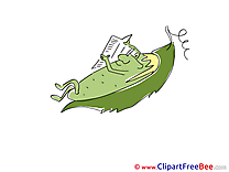 Cucumber Newspaper Clipart free Image download