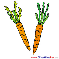 Drawing Carrots Pics printable Cliparts