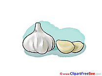 Garlic Clipart free Illustrations