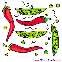 Illustration Peas Pepper Pics free Illustration