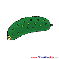Picture Cucumber Clipart free Illustrations