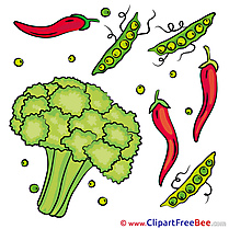 Veggies Broccoli Peppers free Cliparts for download