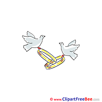 Golden Rings Pigeons Pics Wedding free Cliparts