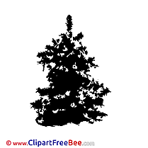 Tree Christmas Winter free Images download