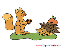 Apple Hedgehog Squirrel Pics download Illustration