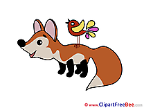 Bird Fox download Clip Art for free