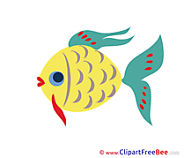 Fish Images download free Cliparts
