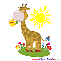 Giraffe free Cliparts for download