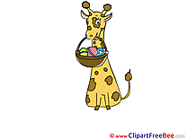 Giraffe Pics free download Image